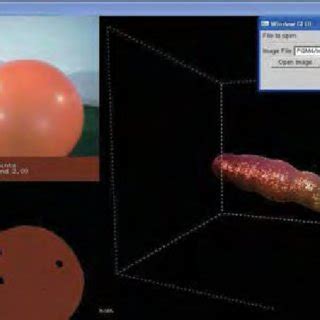 Image result for Color Classification