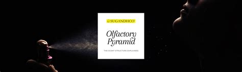 Sugandhikar - Perfumery Basics – SCENTKART