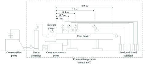 Experiment Process 的图像结果