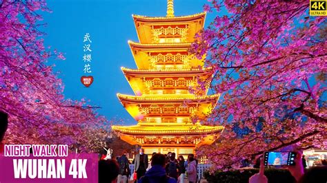 Wuhan Night Walk | East Lake Cherry Blossoms | 4K HDR | Hubei Province ...