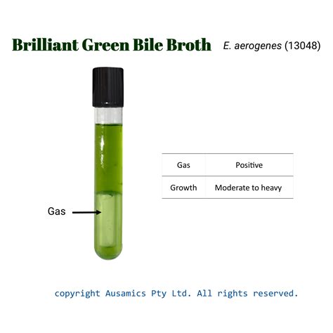 Brilliant-green Bile Broth 2%, BGBB | AuSaMicS