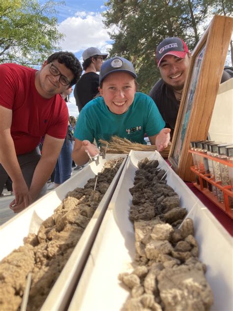 Image result for Neuroscience Degree Programs