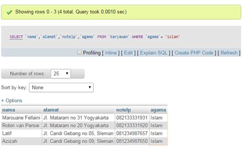 Select Database SQL 的图像结果