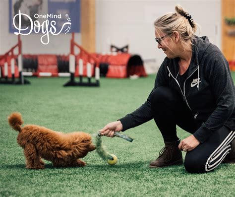 Image result for Agility Training Tips