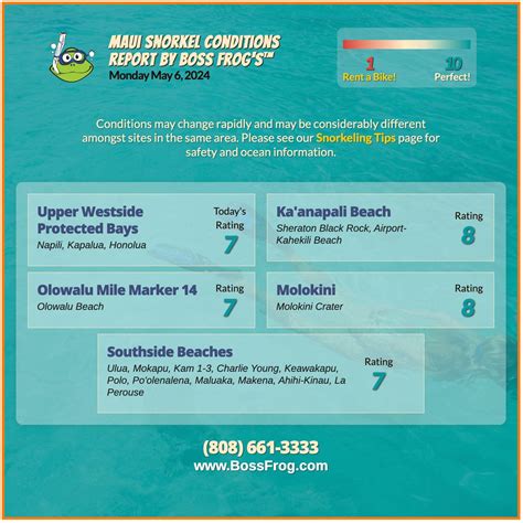 Maui Snorkel Conditions Report By Boss Frog's™