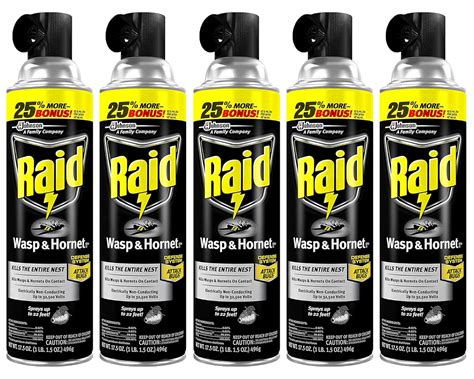 Amazon.com: Raid Wasp & Hornet Killer Spray, Kills The Entire nest ...