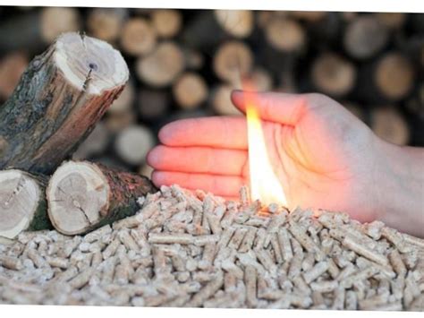 Biomass supplies: new terms in the Netherlands ##f_country## ##f_price ...