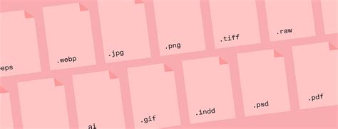 File Extension 的图像结果