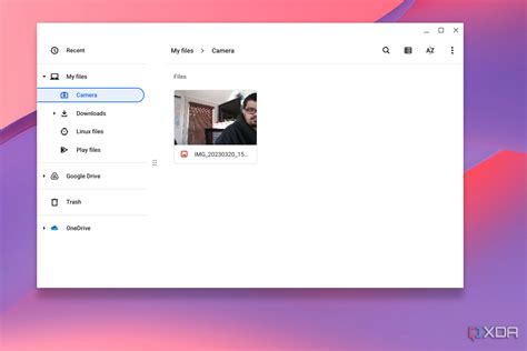 Chromebook Camera Features 的图像结果