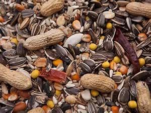 All Life Stages Cockatiel And African Love Birds Seed Mix Pack of 250G ...