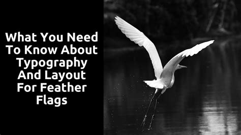 Image result for Paragraph with CSS Feather Example