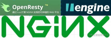 OpenResty“更好更灵活的 Nginx”，这份OpenResty开发指南你值得拥有_openresty和nginx哪个好-CSDN博客