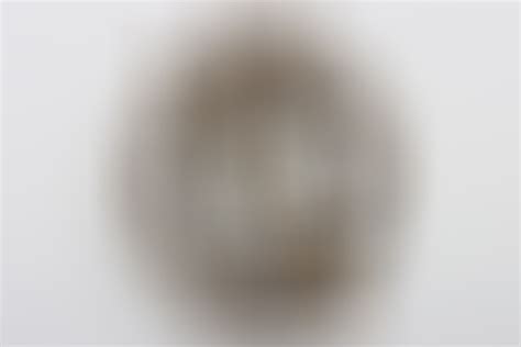 ratisbon's | Infantry Assault Badge in Bronze "JFS" | DISCOVER GENUINE ...