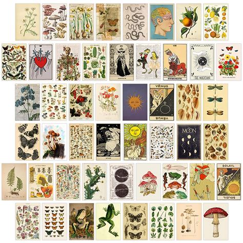 Buy UIGJIOG 50Pcs Vintage Botanical Wall Collage Kit, Wall Collage Kit ...