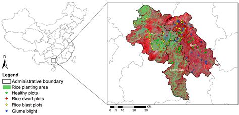 Partial Least Square Discriminant Analysis Based on Normalized Two ...