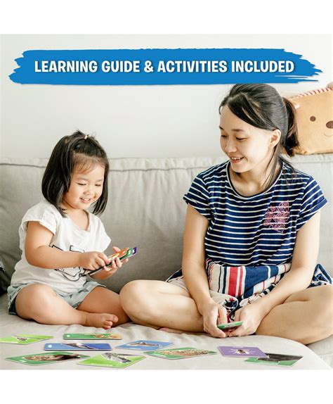 Skillmatics Flash Cards First 100 Animals Multicolour - 50 Pieces ...