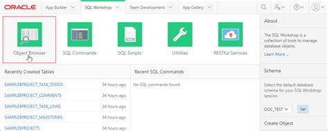 Image result for Oracle Object Browser with SQL Developer