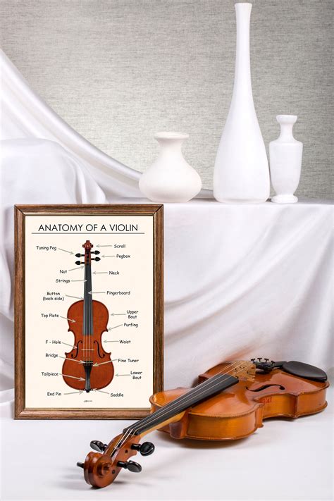 Violin Anatomy Poster, Violin Diagram Printable, Violin Parts Names, Music Teacher Resource ...
