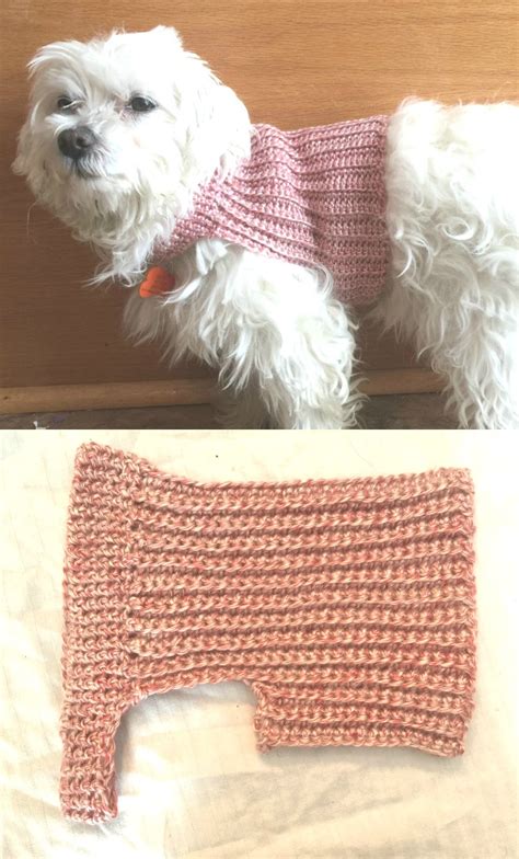 Image result for Dog Sweater Crochet Tutorial