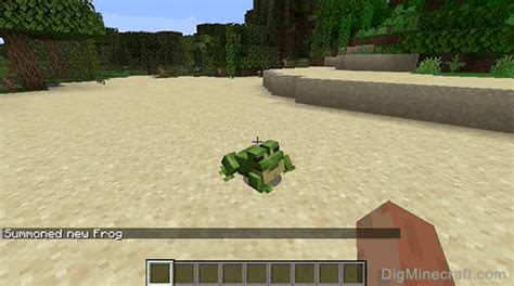 Image result for Minecraft Frog Command Block