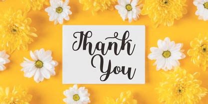 Project Stardust Script 的图像结果