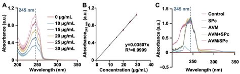 A Star Polyamine-Based Nanocarrier Delivery System for Enhanced ...