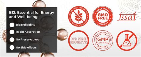 HEALTH VEDA ORGANICS PRIVATE LIMITED Plant Based Vitamin B12 Supplement ...