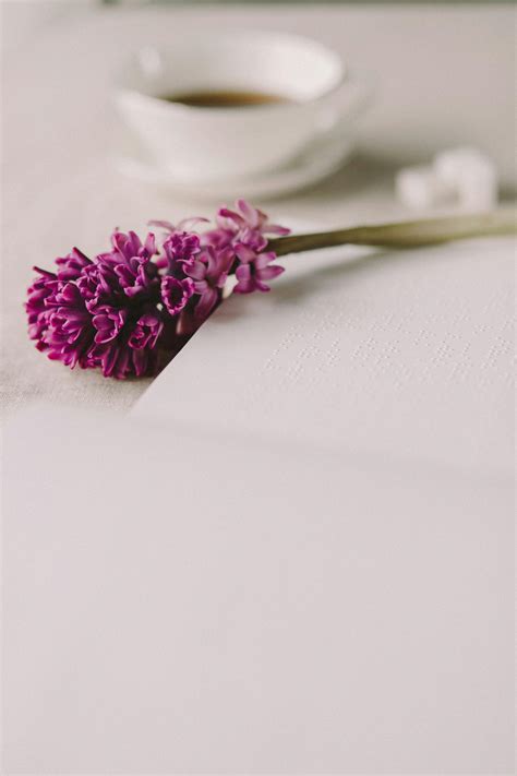 Java and Spring Background Images 的图像结果