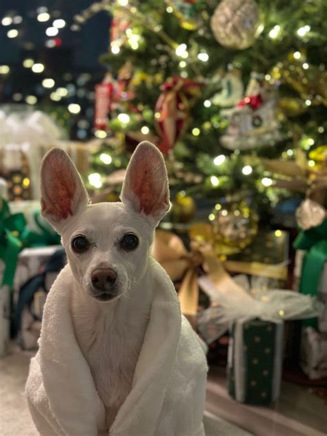 Stacy Kemp on LinkedIn: #grateful #gratitude #holidays | 20 comments