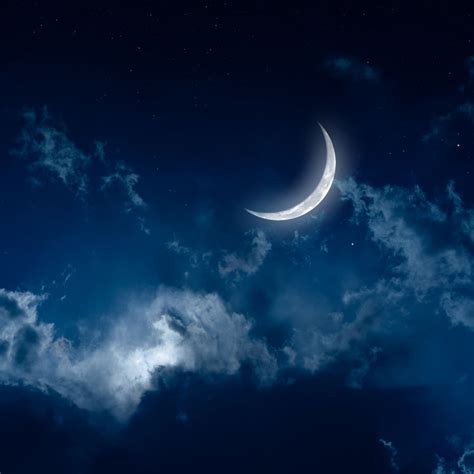 All-Night Example 的图像结果