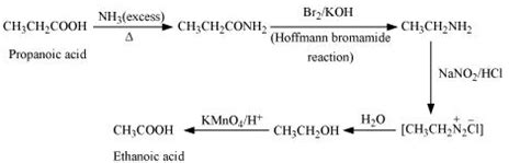 NCERT Solutions Class 12 Chemistry Chapter 9 - Amines