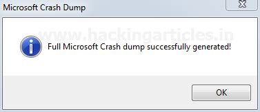 Digital Forensics Investigation through OS Forensics (Part 2)