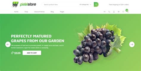 Custom Magento Development 的图像结果