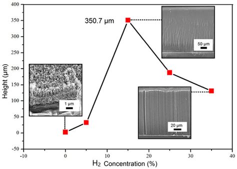 Effect of Hydrogen Concentration on the Growth of Carbon Nanotube ...