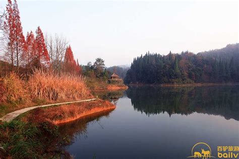 住淳安千岛湖农家乐，一起去龙川湾赏秋吧！