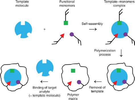 Mar MIP Tutorial 的图像结果