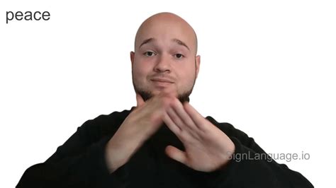 Image result for Sign Language Peace Sign