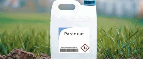 Syngenta Finalizes Settlement Over Paraquat-Parkinson’s Lawsuits