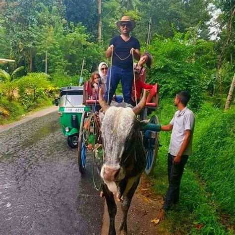 The Best Hingula Bed and Breakfasts 2025 - Tripadvisor