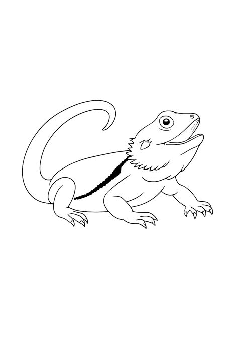 Bearded Dragon Coloring Pages (Free Printables for Kids)
