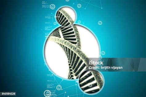 Image result for Human DNA Strand