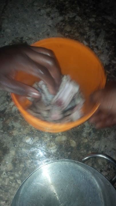 Image result for Cooked Python