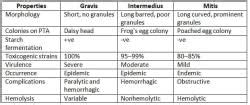 Corynebacterium and Bacillus Chapter Notes - Microbiology - NEET PG PDF ...