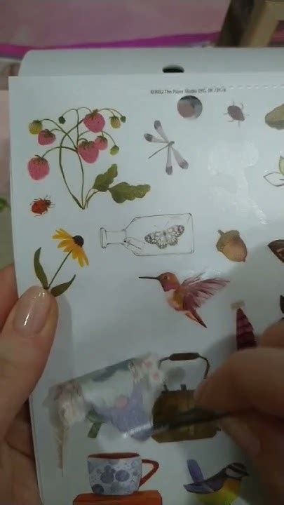 Image result for ASMR Scrap