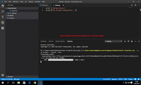 Image result for Vscode Python Data Output List