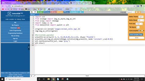 Edge Chasing Algorithm Program 的图像结果
