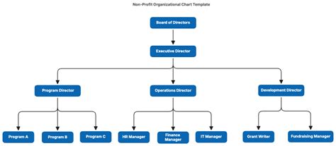 Non-Profit Organization Structure Chart 的图像结果