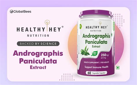 HealthyHey Nutrition Andrographis Paniculata extract - 250 mg per ...