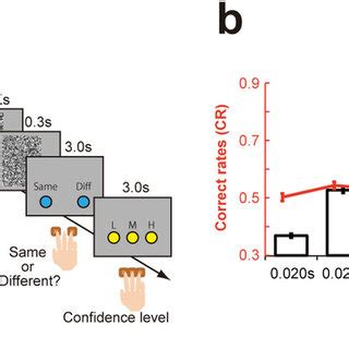 Image result for Bird Training Discrimination Task