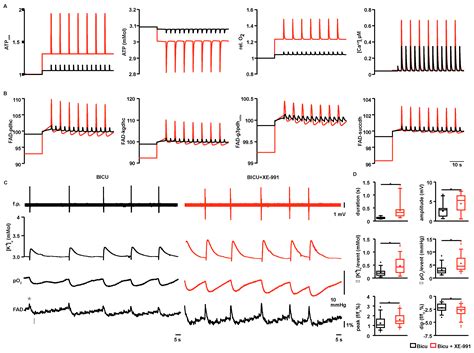 Event-Associated Oxygen Consumption Rate Increases ca. Five-Fold When ...